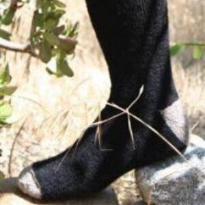Alpaca Outdoor Socks Black